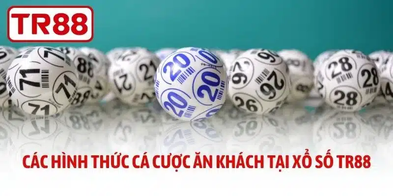 Các hình thức cá cược ăn khách tại xổ số TR88