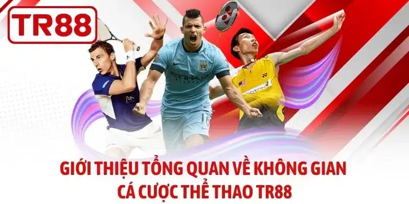 Giới thiệu tổng quan về không gian cá cược thể thao TR88