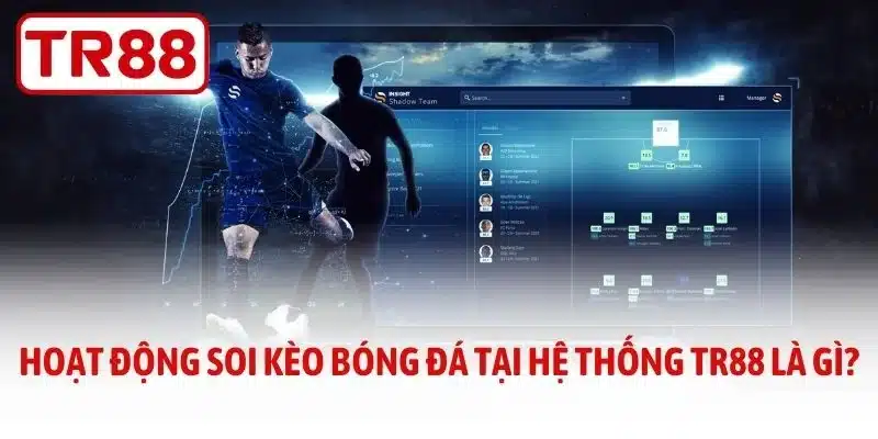 Hoạt động soi kèo bóng đá tại hệ thống TR88 là gì?