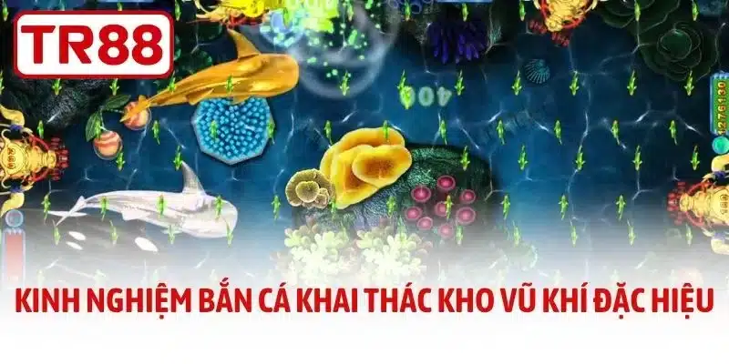 Kinh nghiệm bắn cá khai thác kho vũ khí đặc hiệu