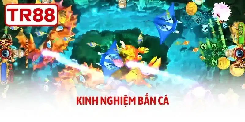 Kinh Nghiệm Bắn Cá - Bí Kíp Chơi Thắng Lớn Tại Nhà Cái TR88