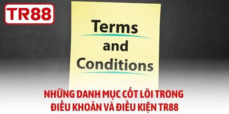 Những danh mục cốt lõi trong điều khoản và điều kiện TR88
